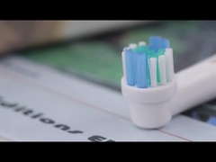 SB-17A Elektrikli diş fırçası başlıkları